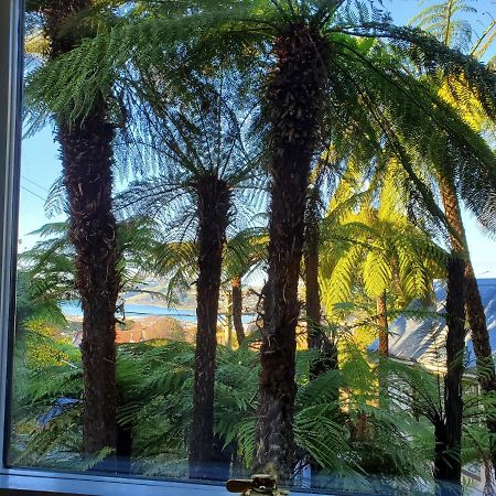 Koru Flat Apartment Dunedin Luaran gambar