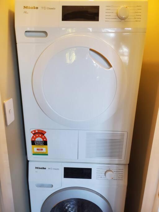 Koru Flat Apartment Dunedin Luaran gambar